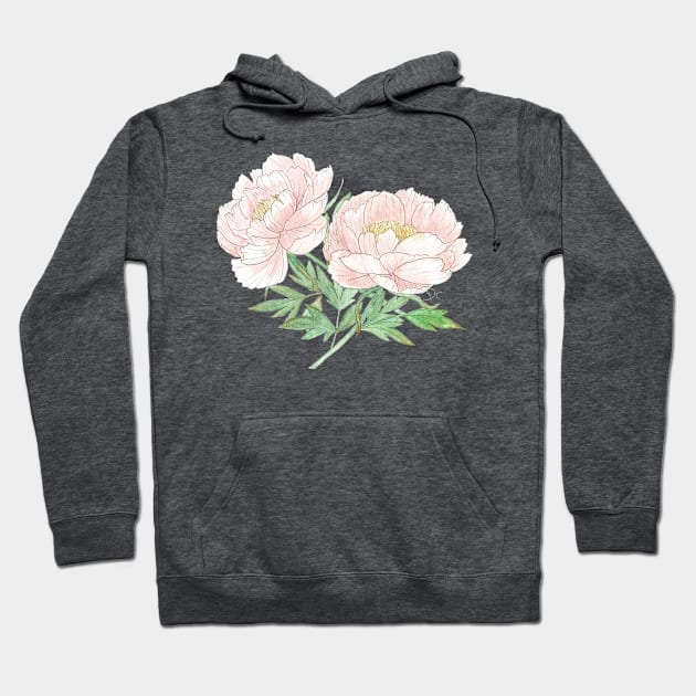 Pair of Peonies Watercolor Illustration Hoodie by Danica Templeton Art